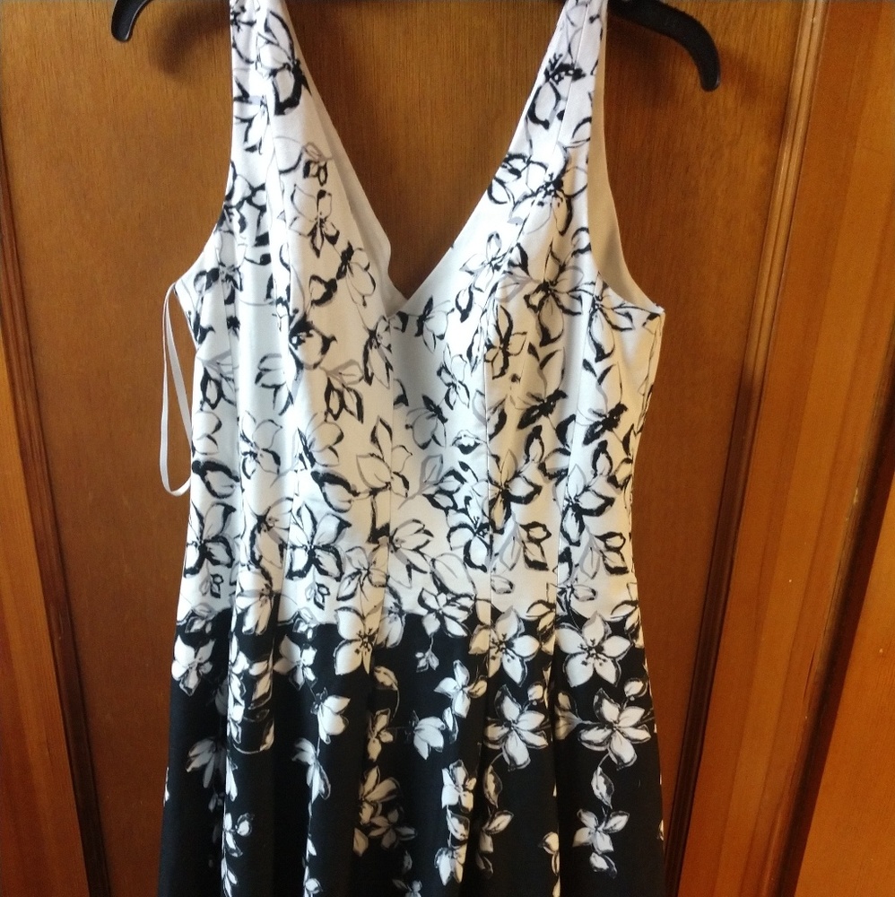 White House dress